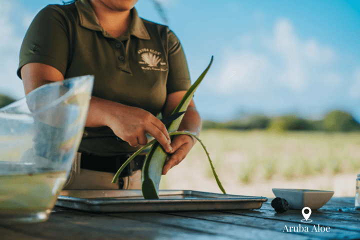 a person holding a glass of water on a table