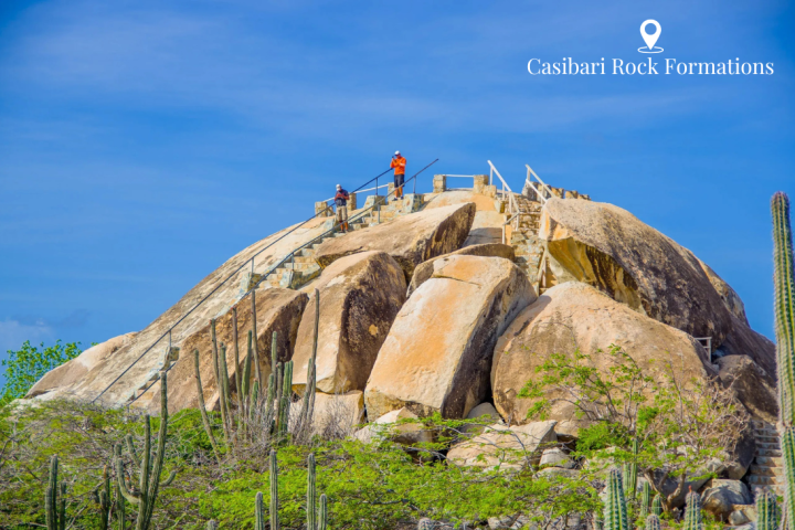 a bird sitting on top of a rocky mountain