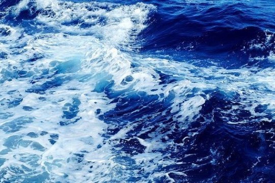 a large body of water