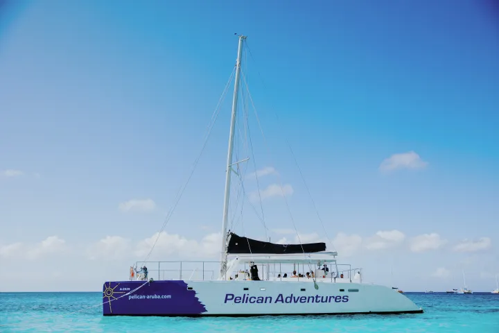 A catamaran with 'Pelican Adventures' logo sails on clear blue water under a clear sky.