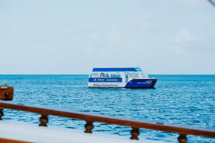 Blue and white boat on calm ocean with wooden railing in foreground.