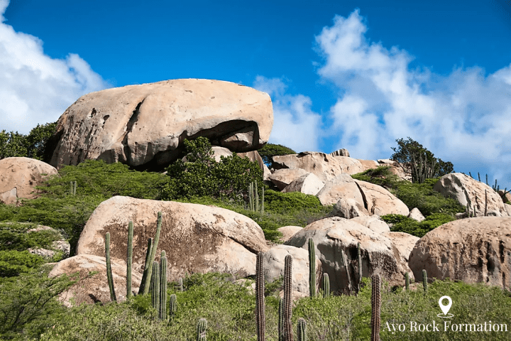 a herd of animals standing on top of a rock