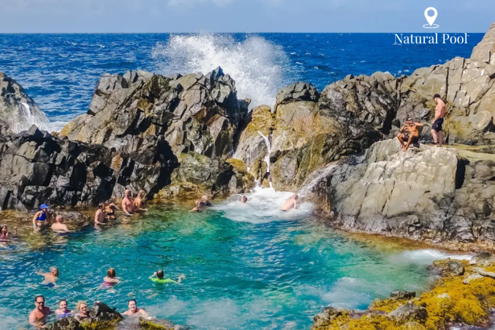 a group of people swimming in a body of water