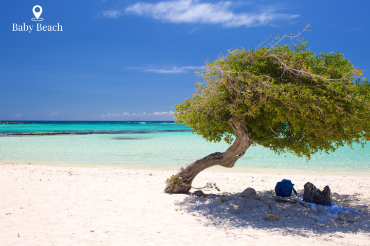 a person sitting on top of a sandy beach