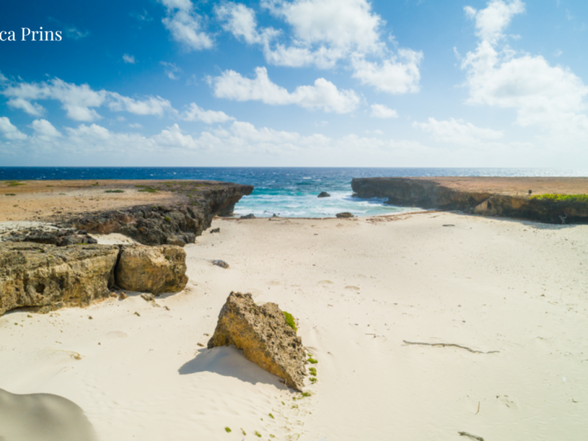 a sandy beach next to a body of water