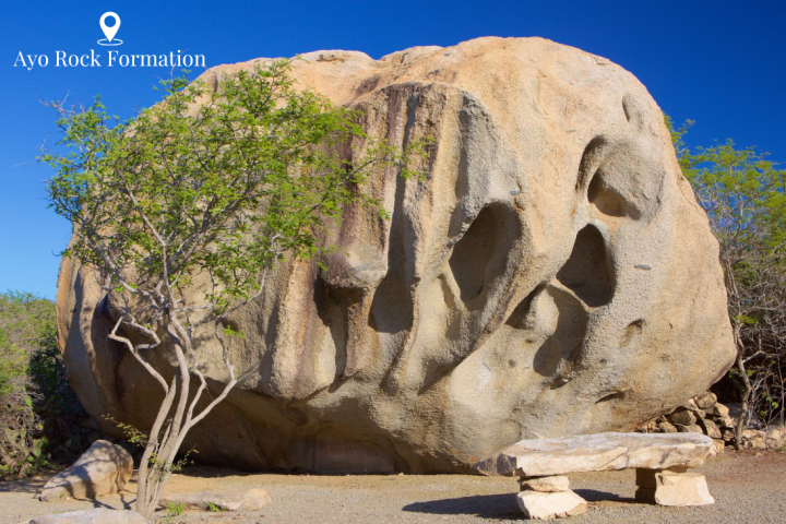 a dinosaur on top of a rock with Joshua Tree National Park in the background