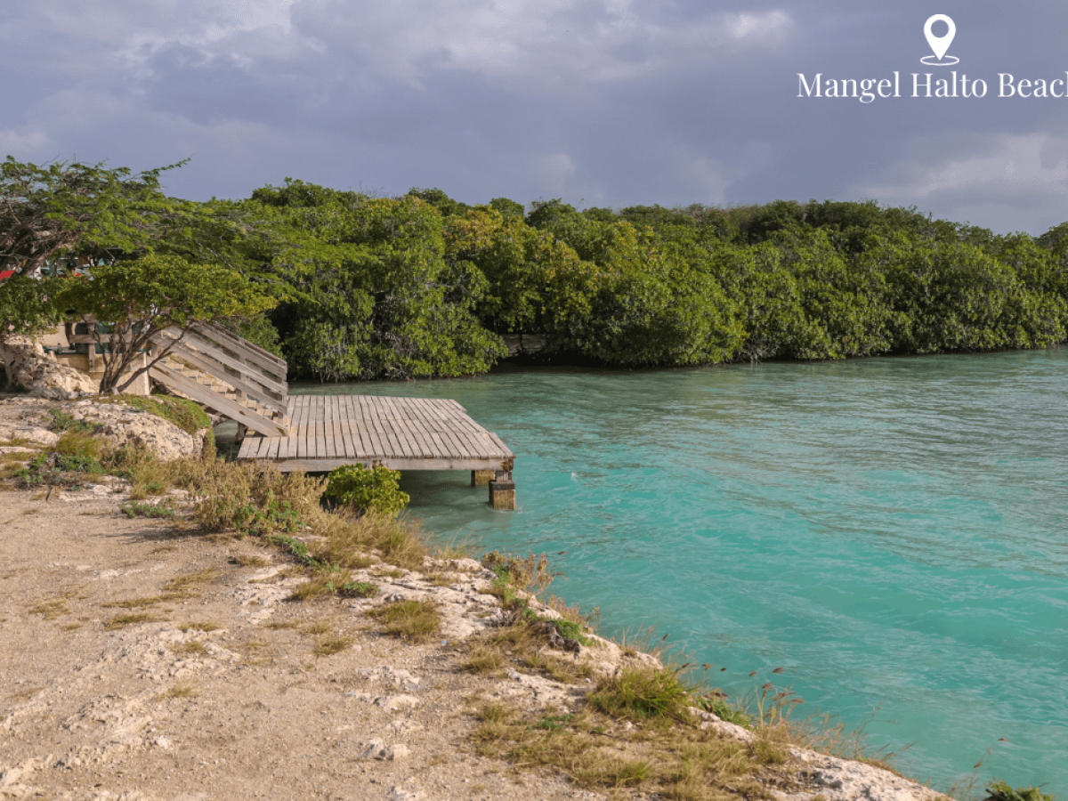 a body of water surrounded by trees