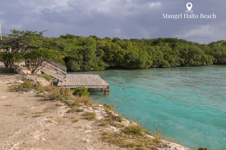 a body of water surrounded by trees