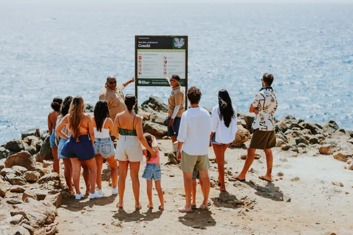 a group of people standing on a beach