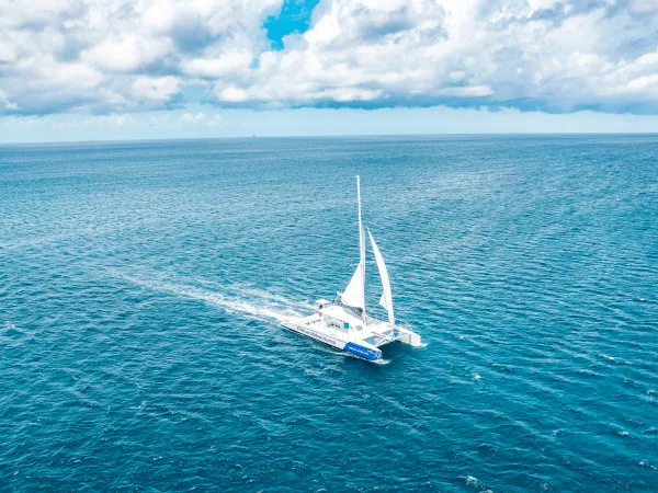 Catamaran sailboat on open blue ocean with cloudy sky.