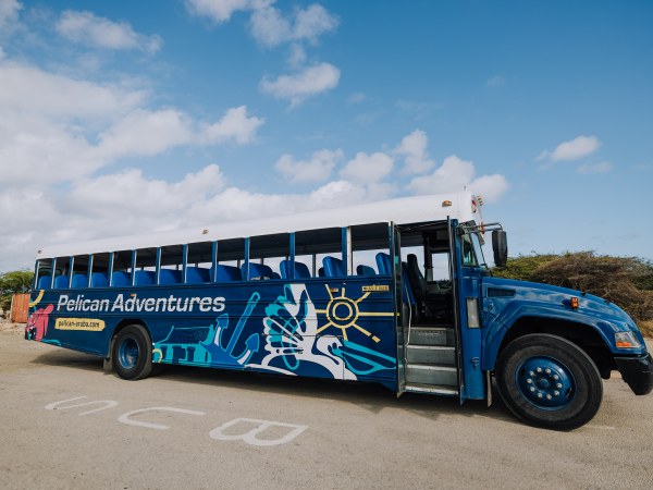 Blue bus with 'Pelican Adventures' logo parked on a sunny day.