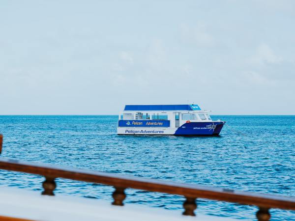 Boat with 'Pelican Adventures' on the ocean near a wooden railing.